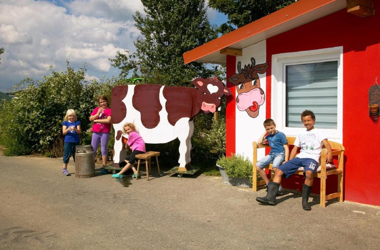 Ferienhof Schlag Waldmünchen Buitenkant foto