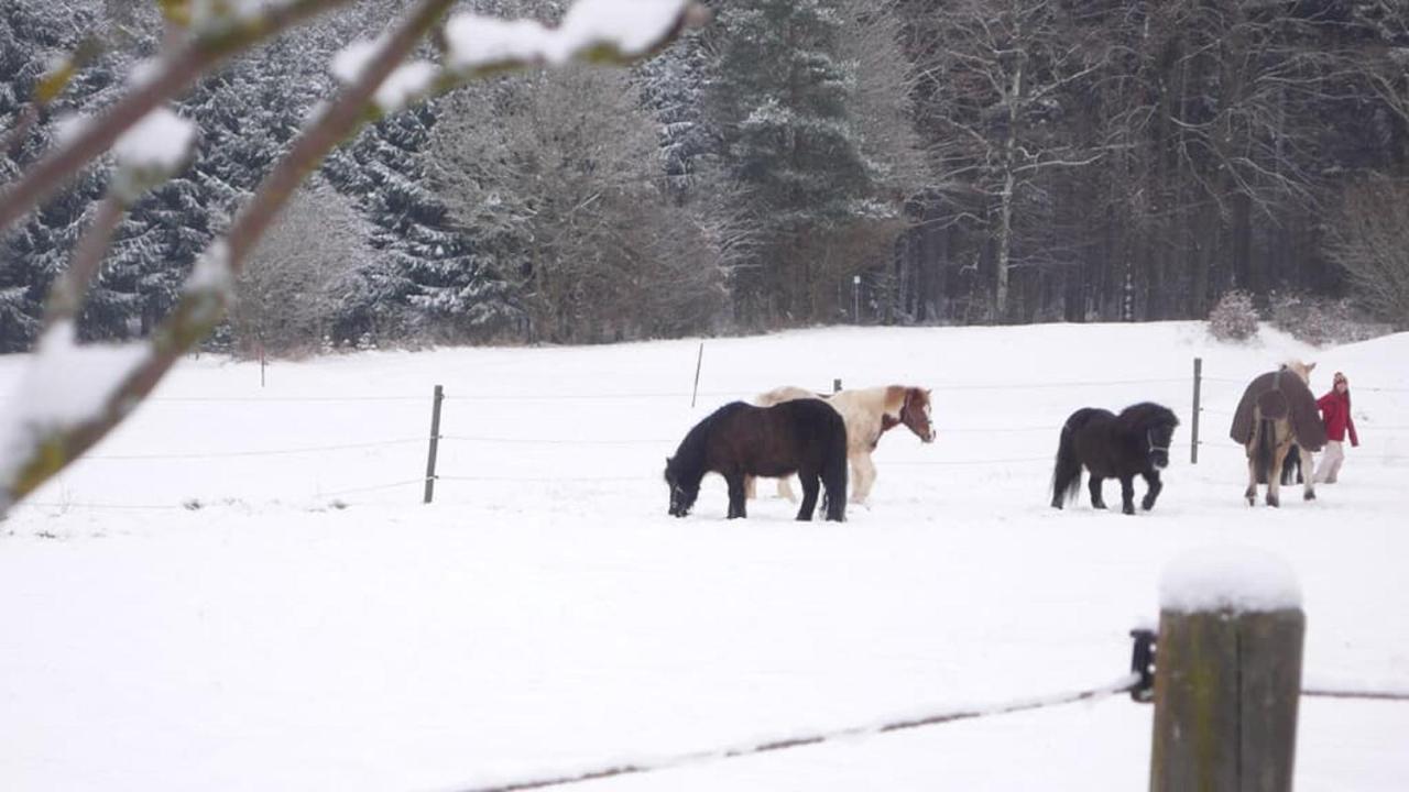 Ferienhof Schlag Waldmünchen Buitenkant foto